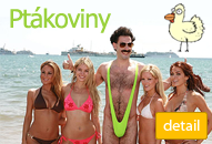 Ptákoviny